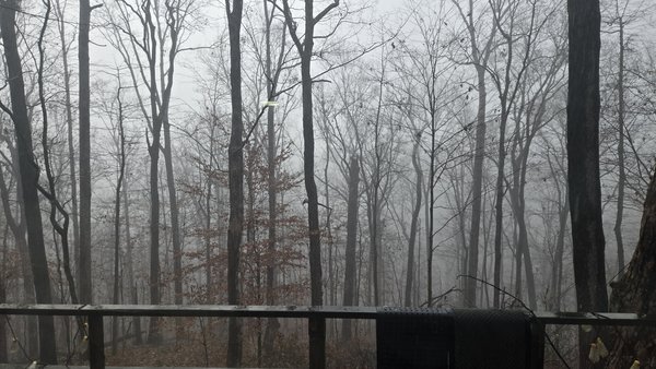 View from the back patio